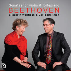 Sonata No. 5 in F Major, Op. 24 "Spring": I. Allegro