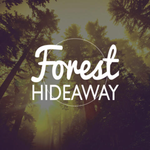 Forest Hideaway