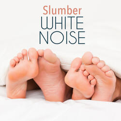 White Noise: Water Birds