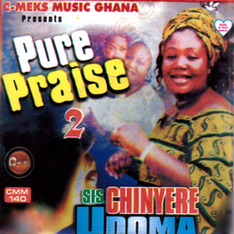 Pure Praise, Vol. 2