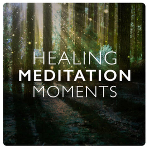 Healing Meditation Moments
