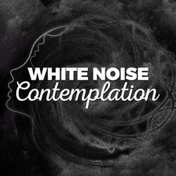White Noise: Rainfall