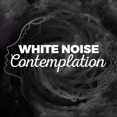 White Noise Contemplation
