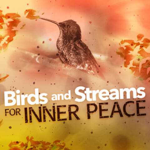 Birds and Streams for Inner Peace