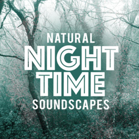 Natural Nightime Soundscapes