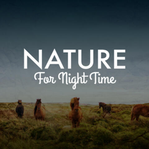 Nature for Night Time