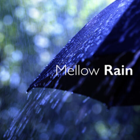 Mellow Rain