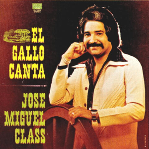 El Gallo Canta