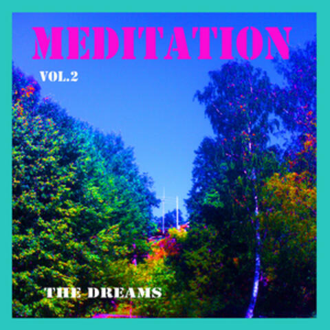 Meditation, Vol.2