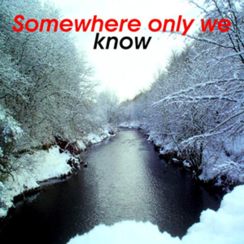 Somewhere Only We Know