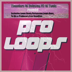 Thunders of Dubstep.V2 Percu 4 128 (Tool 5)