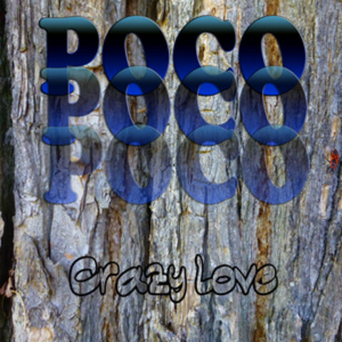 Crazy Love