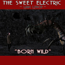 The Sweet Electric - Born Wild