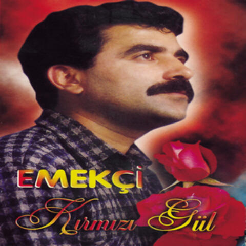 Kırmızı Gül