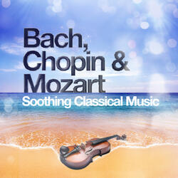 Salut dAmour, Op. 12