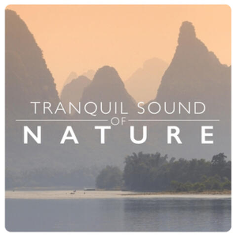 Tranquil Sound of Nature