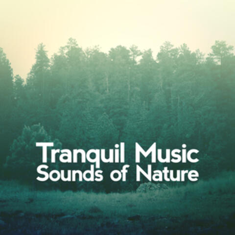 Tranquil Music Sounds of Nature