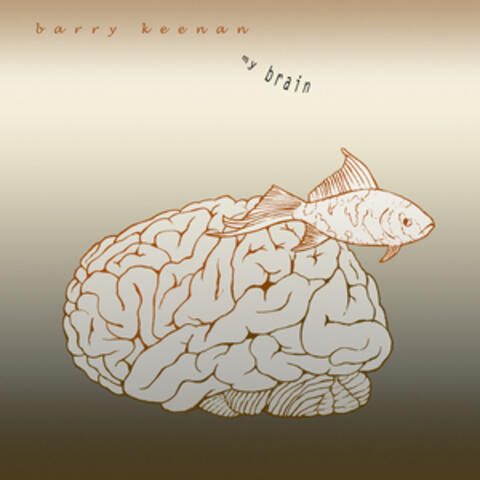 My Brain