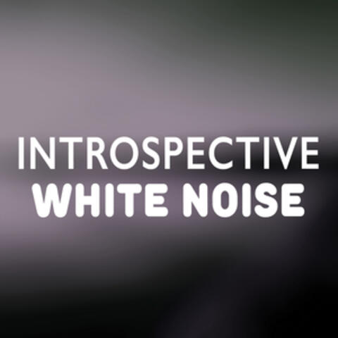 Introspective White Noise
