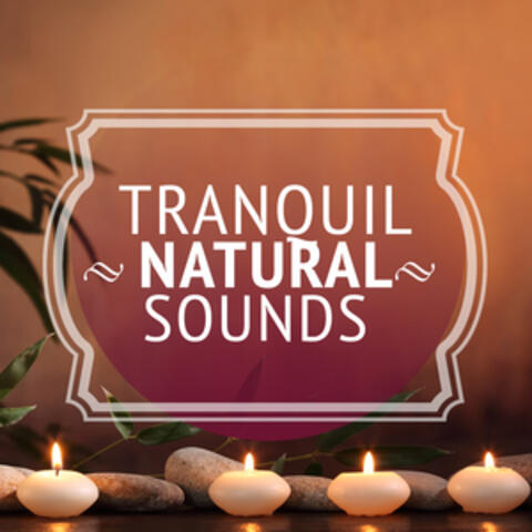 Tranquil Natural Sounds