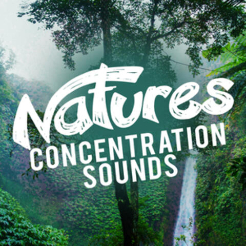 Nature's Concentration Sounds