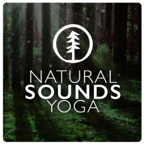 Natural Sounds: Yoga