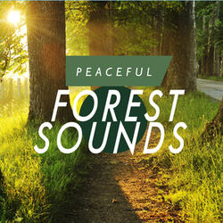Bird Sounds