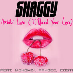 Habibi Love (I Need Your Love)