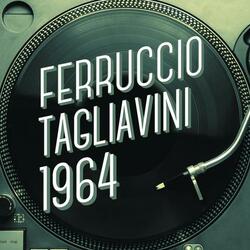 Occhi turchini