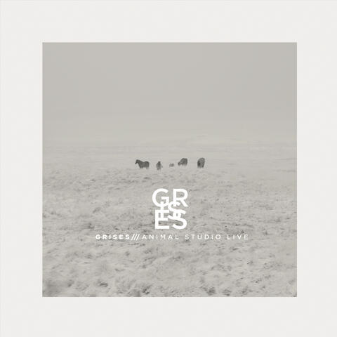Grises Animal (Studio Live)