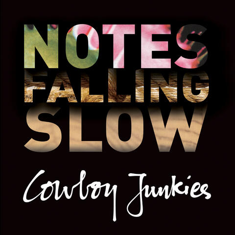 Notes Falling Slow (Box Set)