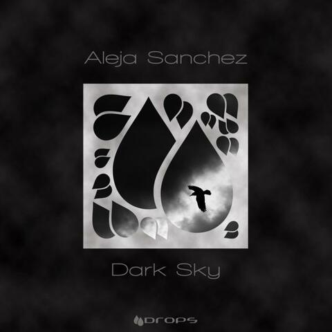 Dark Sky
