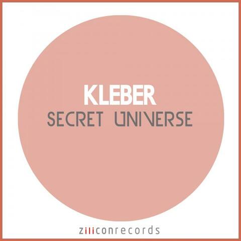 Secret Universe