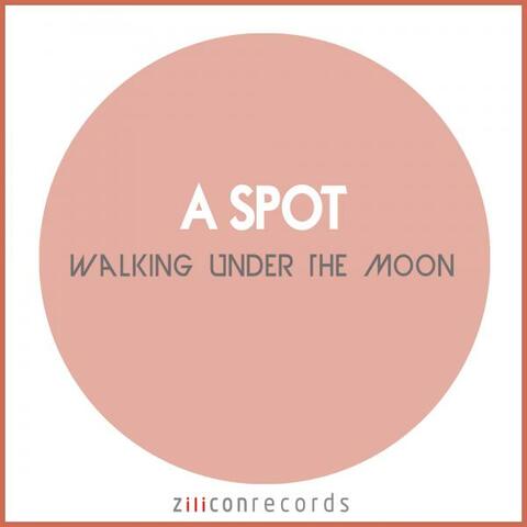 Walking Under The Moon