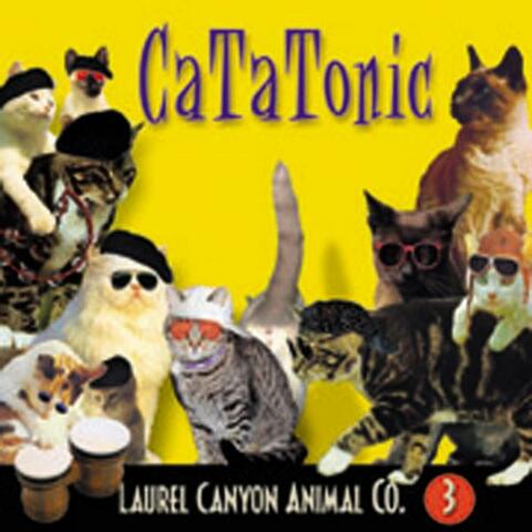 Cat-A-Tonic