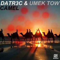 Camel (feat. Umek Tow)
