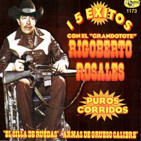 15 Exitos