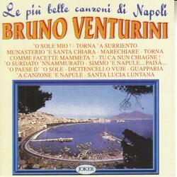 A Canzone 'E Napule (Me Ne Vogl' I All'America)