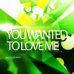 You Wanted To Love Me