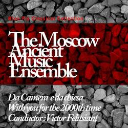 Concerto In D Major: II. Allegro