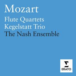 Mozart: Horn Quintet in E-Flat Major, K. 407/386c: II. Andante