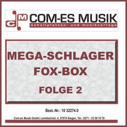Westerwald Projekt 1998