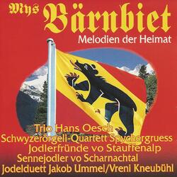 Heimelig