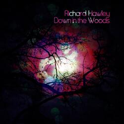 Down in the Woods