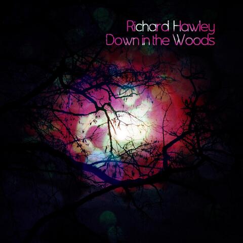 Down In The Woods
