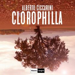 Clorophilla (Dream Edit)