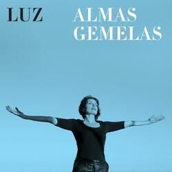 Almas gemelas