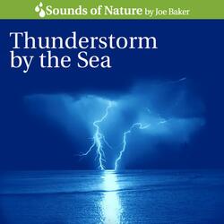 Thunderstorm by the Sea