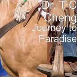 Journey to Paradise