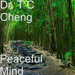 Peaceful Mind